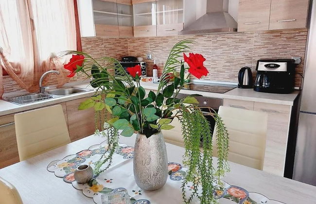 Alexandros 1 by Frangki - Foto 11