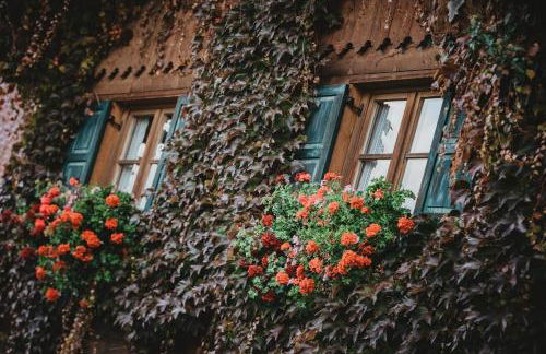 Ferienwohnungen Holler - Foto 34