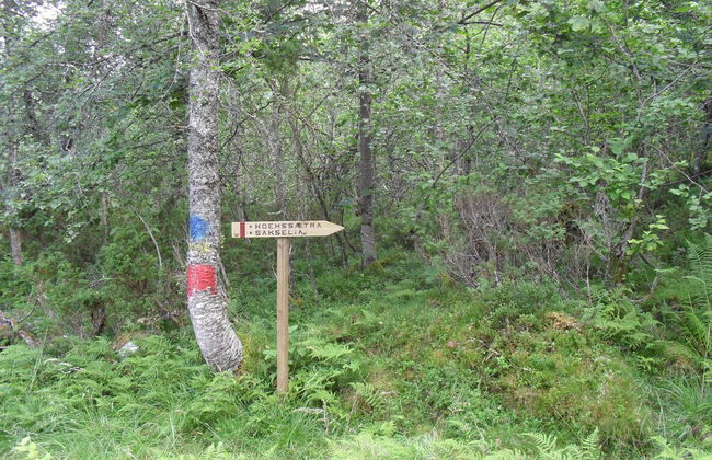 Fagervik Camping - Photo 76