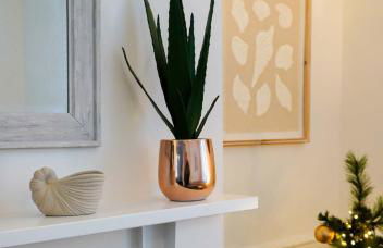 Ivydene - 3 bedroom house -Tenby - Foto 22