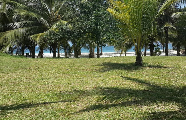 Shamba La Salama - Foto 13