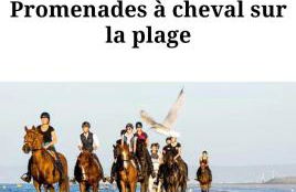 Villa Poppies Holiday Charme et Luxe 14 Pers SPA Privé Jardin Clos 300 m Plage du Débarquement à Pied Mer Familles Groupes EVG Baby-foot Ouistreham - Photo 20