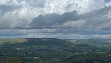 Harper Tree Top - Foto 2