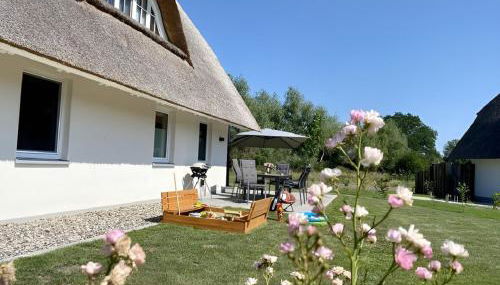 Lotta - Ferienhaus mit Kamin und Sauna für 7 Personen - Foto 3