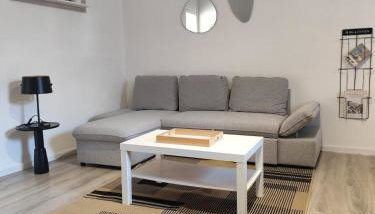 Duplex spacieux et lumineux en centre-ville - Foto 1