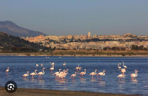 "Da Carla e Sandro"- Appartamento con parcheggio privato - Photo 27