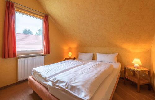 Sonnenblume_DH - Foto 9