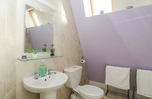 Lady Of Lourdes - Foto 33