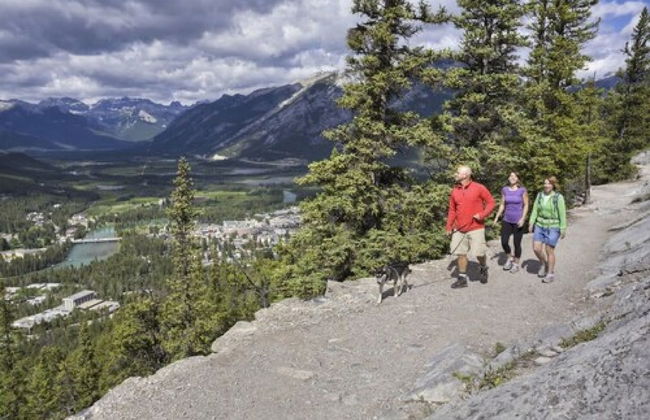 Douglas Fir Resort and Chalets - Photo 30