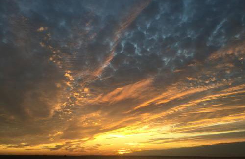 RESET ul. Ratibora 66 - Foto 18