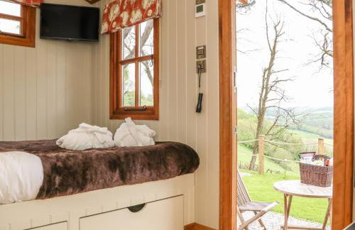 Little Silver Owl - Foto 15