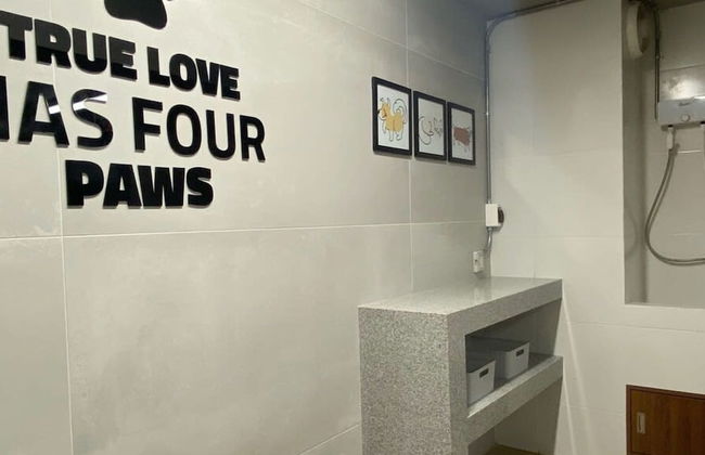 w Cozy Loft With Balcony in Barranco - Photo 37