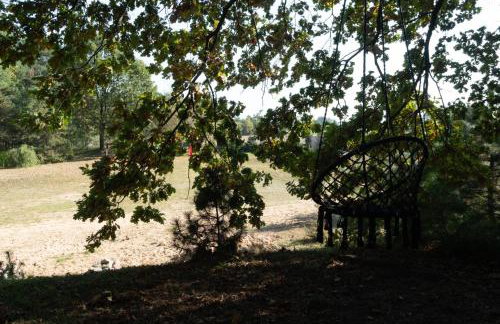 Otulina Błonie - Foto 35