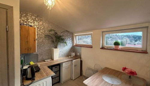 Ropienka ski micro - Foto 5, Garden view