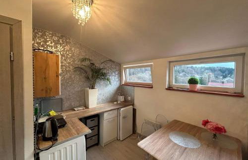 Ropienka ski micro - Foto 5