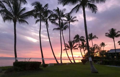 Molokai Island Loft Lanai, Pool and Walk to Beach! - Foto 33