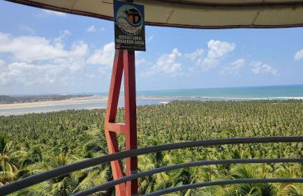 Casa c Piscina, Churrasqueira e Ótima localização - Foto 18