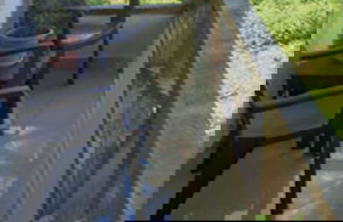 Family Suite - Apartment 1 in Villa Coconut - Photo 6