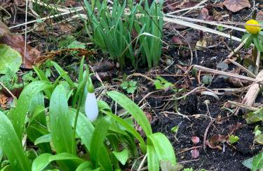 Agro na Wapniarni - Foto 40