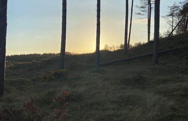 Beautiful 2-bed Chalet in Llanfairpwllgwyngyll - Photo 16