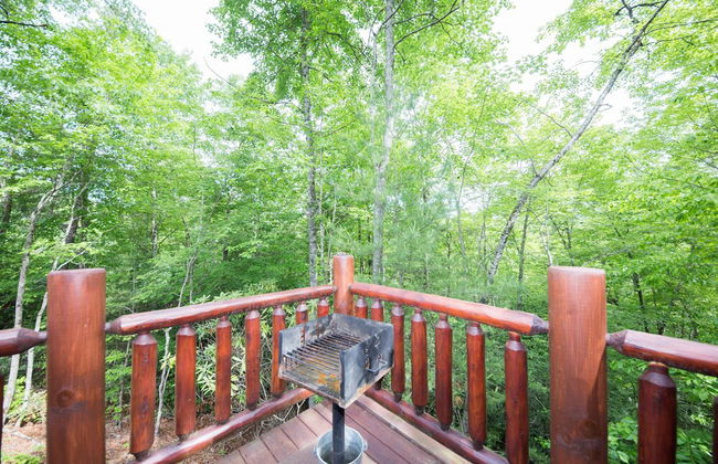 Secluded Escape - One Bedroom Cabin - Foto 18