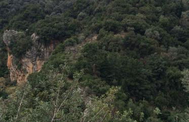 Kleanthi's House - Photo 26