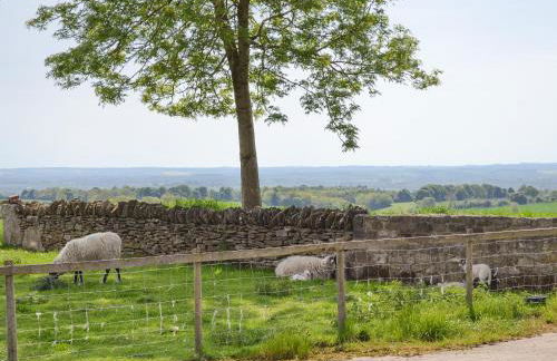 The Wests - Photo 13