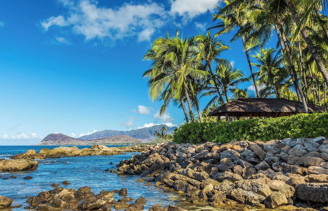 Studio Nene by AvantStay | Chic, Cozy, King Bed - Foto 27