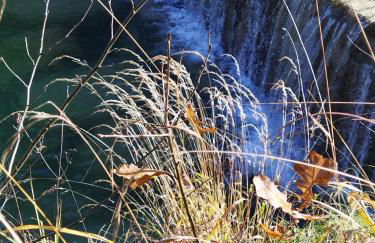 Am Jenbach - Foto 27