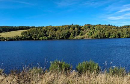 Maison de Bourg - Foto 6