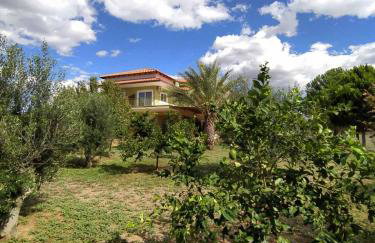 Ktima Anastasia - Foto 18