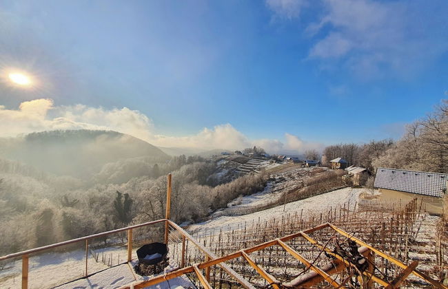 Vineyard cottage Soncni gric - Foto 32