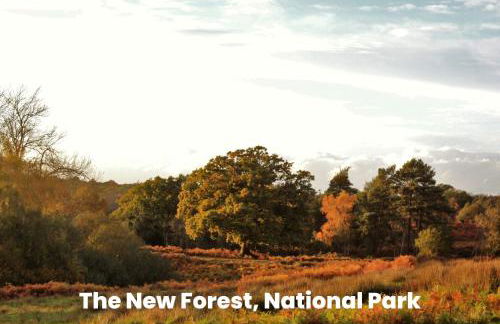 Cosy Retreat Near New Forest - Foto 27