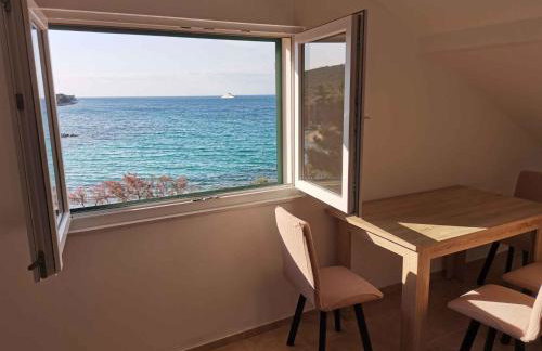 Apartment in Ugljan - Insel Ugljan 42969 - Foto 1