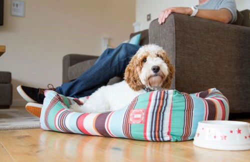 Skylark sleeps 8 private Hot Tub & Dogs welcome Nr Padstow, Resort Pool Bar & Watersports - Foto 11