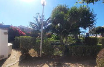 Casa Mateus - Colares, Parque Natural Sintra Cascais - Foto 27