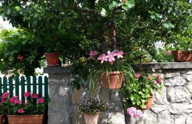 Apartment Nina - Foto 10