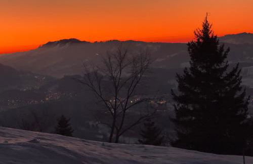 Allgäu Bergluft - Photo 16