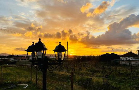 Refugio do Gato - Foto 7