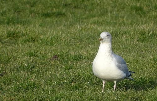 Wohlfühlurlaub auf dem Reit- und Ferienhof Goldberg - Foto 41