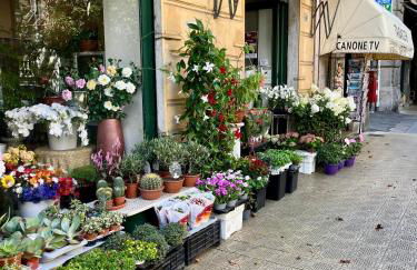Casa Garibaldi, Centro, Spiagge, Stazione - Photo 21