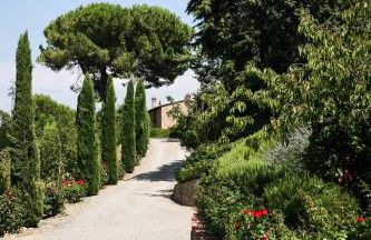 Tenuta delle Rose - Foto 77