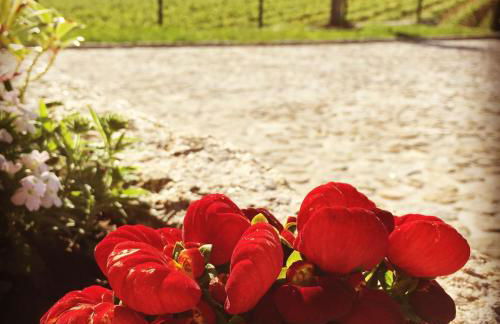 Quinta de Real - Foto 62