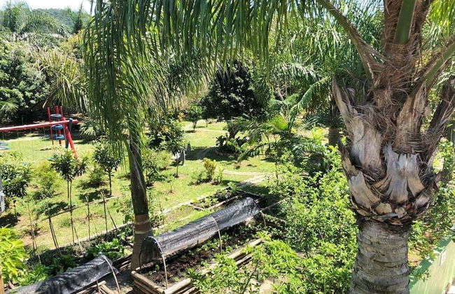 Castelo da Ilha - Photo 53