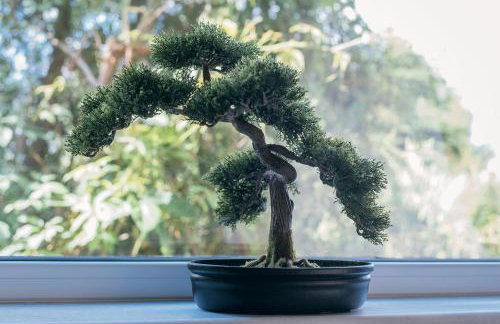 Loft Apartments - Foto 14