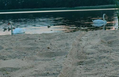 Przystań Nad Miążką - Foto 41