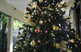 Bela casa de Veraneio - faça sua reserva. - Foto 16