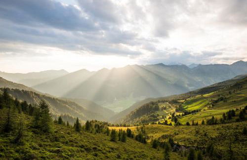 Stacherhof - Photo 41