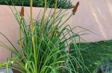 Villa Jolanda - Foto 4