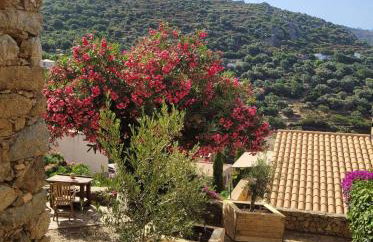 1722 Cosy Home Corbara - Foto 16